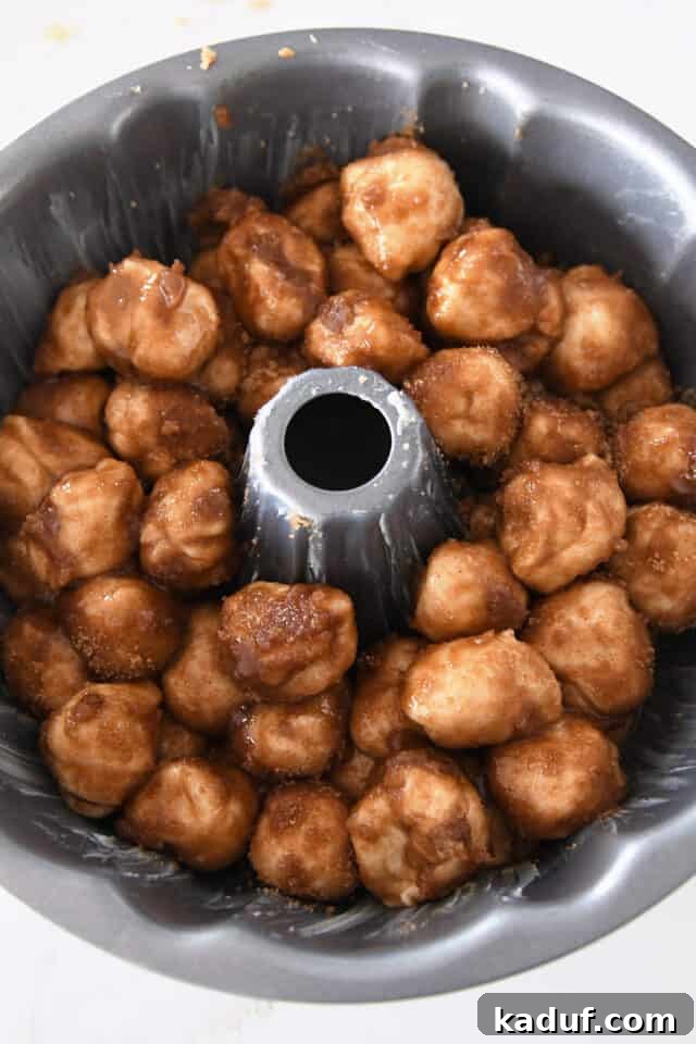 The Ultimate Sticky Pull Apart Monkey Bread 9 Buttery, cinnamon-sugar coated dough balls carefully arranged in a well-buttered bundt pan, ready for their final rise.