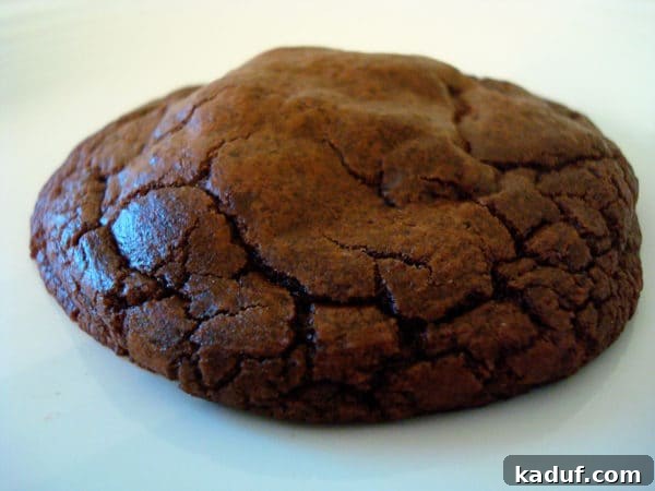 Decadent Double Chocolate Chewies 3 A single, perfectly round double chocolate cookie on a pristine white plate, showcasing its dark color and generous chocolate chunks.