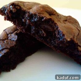 A close-up of a double chocolate cookie, featuring its rich, dark color and visible chocolate chunks.