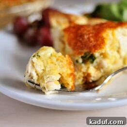 Cheesy Chicken Quesadilla Pie