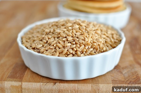 Effortless Whole Wheat Blender Pancakes 3 A pristine white ramekin brimming with raw, whole wheat berries, showcasing their natural, wholesome texture. This image highlights the primary ingredient for these delicious blender pancakes.