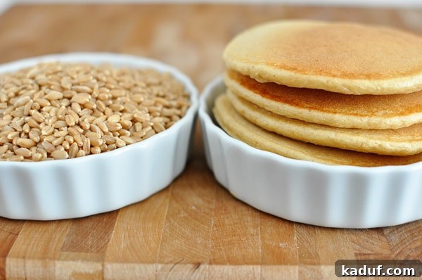 Effortless Whole Wheat Blender Pancakes 4 Two pristine white ramekins, one filled with raw whole wheat berries, and the other holding a perfectly stacked tower of golden-brown blender pancakes. This visual contrast highlights the journey from raw ingredient to delicious finished product.