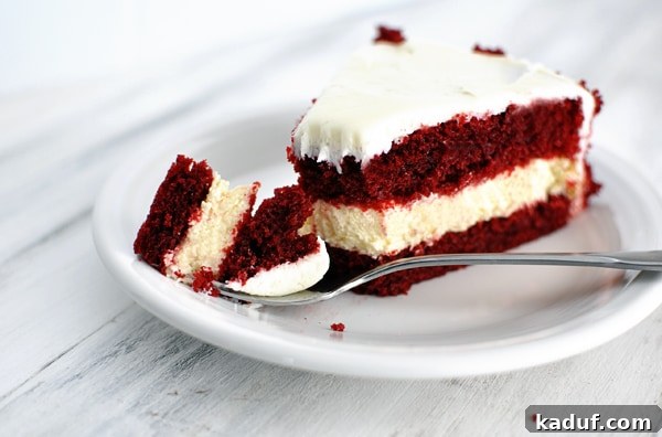 Red Velvet Cheesecake Dream 4 A close-up of a slice of Red Velvet Cheesecake Cake, showing the distinct layers of red cake and white cheesecake with cream cheese frosting.