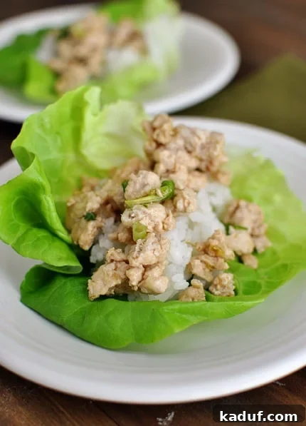 Easy and Flavorful Asian Chicken Lettuce Wraps 2 Asian chicken and rice lettuce wrap on a white plate, showcasing the vibrant filling and fresh lettuce.
