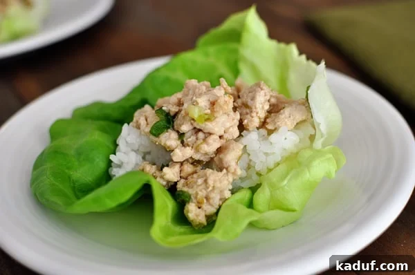Easy and Flavorful Asian Chicken Lettuce Wraps 3 A vibrant, large lettuce leaf generously filled with flavorful Asian chicken and white rice, presented on a pristine white plate.
