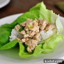 Easy and Flavorful Asian Chicken Lettuce Wraps 4 A small image of an Asian chicken and rice lettuce wrap, ready to serve.