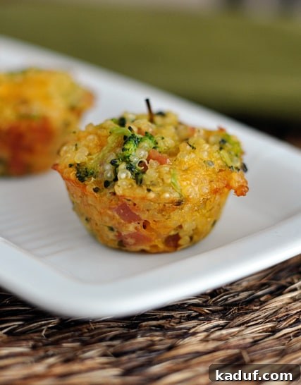 Cheesy Ham Broccoli Quinoa Poppers 3 A cooked cheese, ham, and broccoli quinoa bite on a white rectangular platter.