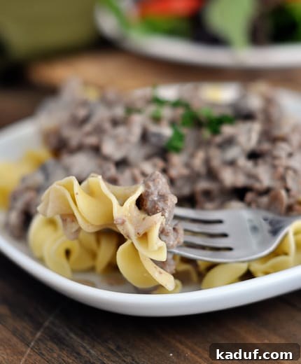 Hearty Ground Meat Stroganoff 3 A beef stroganoff mixture over a bed of cooked egg noodles with a fork taking a bite out.