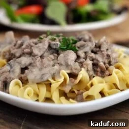 Delicious Ground Beef or Turkey Stroganoff