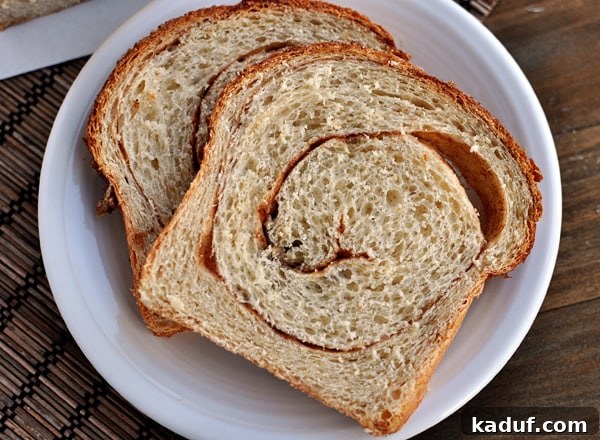 Ultimate Cinnamon Swirl Loaf 4 Top-down view of two perfectly toasted slices of homemade cinnamon swirl bread, golden brown and inviting, served on a white plate for a delightful breakfast.