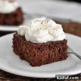 Chocolate Tres Leches Cake topped with whipped cream and a light dusting of cocoa powder, viewed from above.