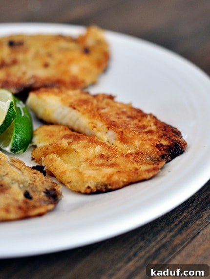 Zesty Honey Tilapia 3 Two baked tilapia fillets on a white plate, with lime slices artfully arranged between them, ready to serve.
