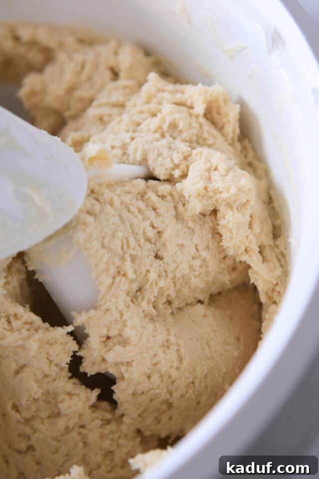 Velvet Cloud Sugar Cookies 6 Sugar cookie dough in white electric mixer.