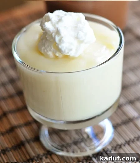 Creamy Vanilla Comfort 2 A clear glass dish filled with luscious homemade vanilla pudding, artfully topped with a swirl of fresh whipped cream and a sprinkle of cinnamon.