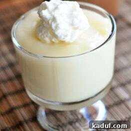 Close-up of a bowl of creamy vanilla pudding, indicating its smooth texture, ready to be served.
