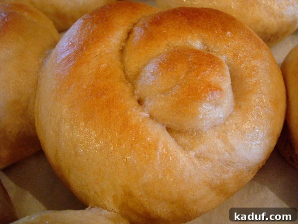 Buttery Garlic Knots 3 A single perfectly baked golden brown garlic knot with visible garlic specks, resting on a rustic surface.