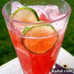 A small glass of Raspberry Lime Rickey garnished with lime slices.