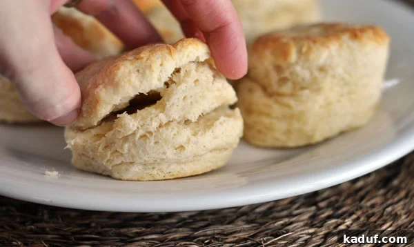 Perfectly Flaky Buttermilk Biscuits 8 A white plate showcasing several golden buttermilk biscuits, highlighting their texture.
