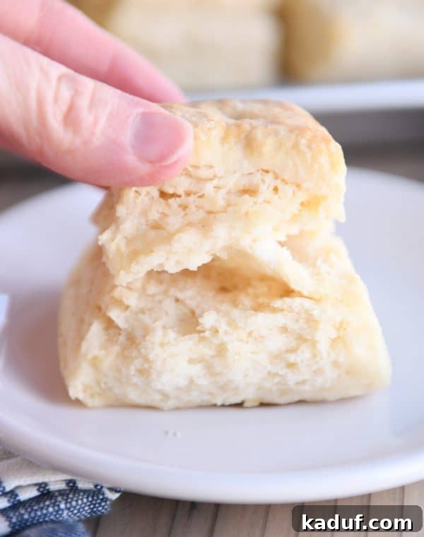 Perfectly Flaky Buttermilk Biscuits 3 A close-up of a flaky buttermilk biscuit being pulled apart, revealing its tender, layered interior.