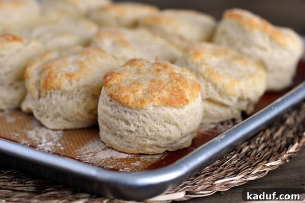 Perfectly Flaky Buttermilk Biscuits 5 A sheet pan filled with perfectly golden-brown, freshly baked biscuits.