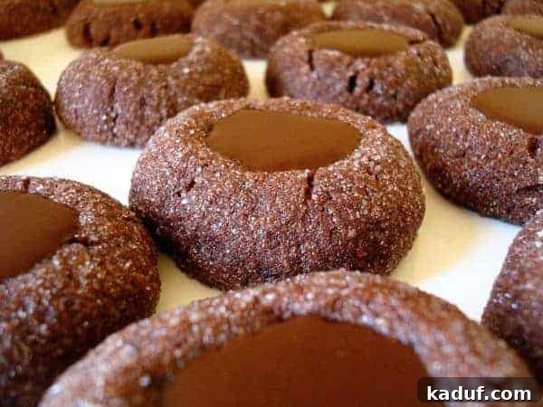 Chocolate Thumbprint Delights 2 Chocolate cookies filled with chocolate ganache.