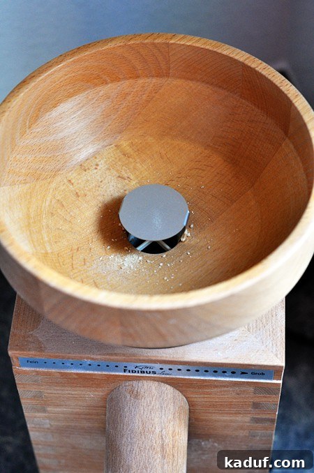 The Ultimate Guide to Wheat Grinders Plus Over 60 Popular Model Reviews 3 top view of a hopper of a wheat grinder