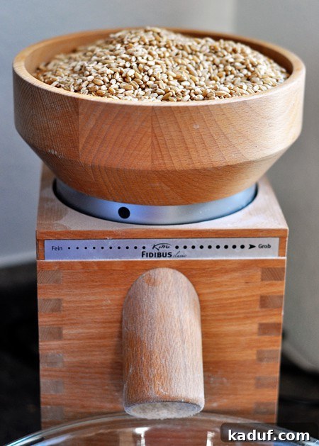 The Ultimate Guide to Wheat Grinders Plus Over 60 Popular Model Reviews 5 a wheat grinder full of wheat berries ready to be ground