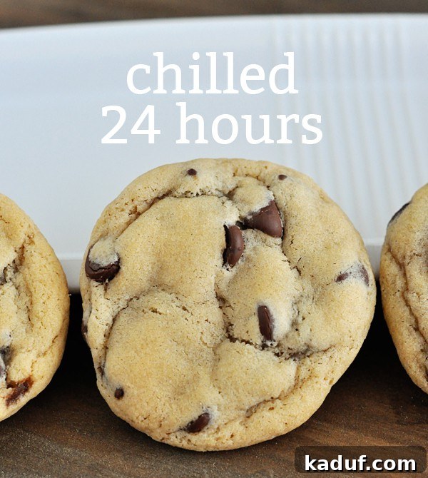 Top-down view of a slightly lighter brown chocolate chip cookie with 'Chilled 24 Hours' text overlay, highlighting its unique shade.