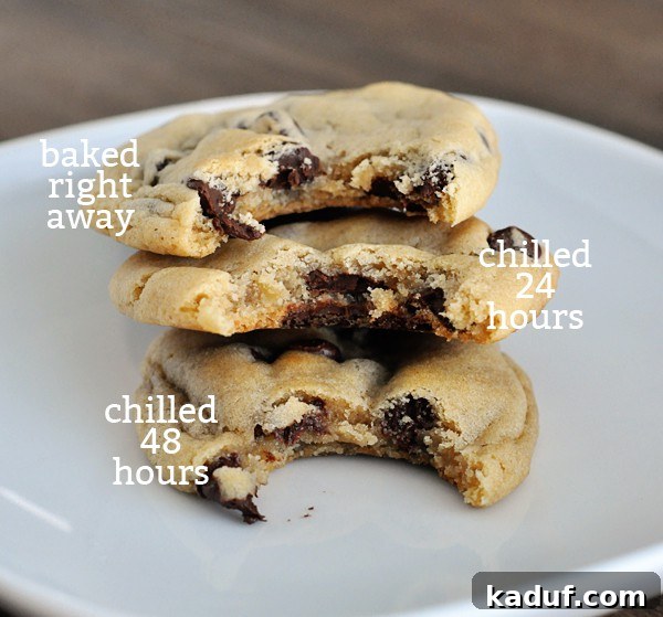 Three chocolate chip cookies stacked, each with a bite taken out, demonstrating the thorough taste testing process.