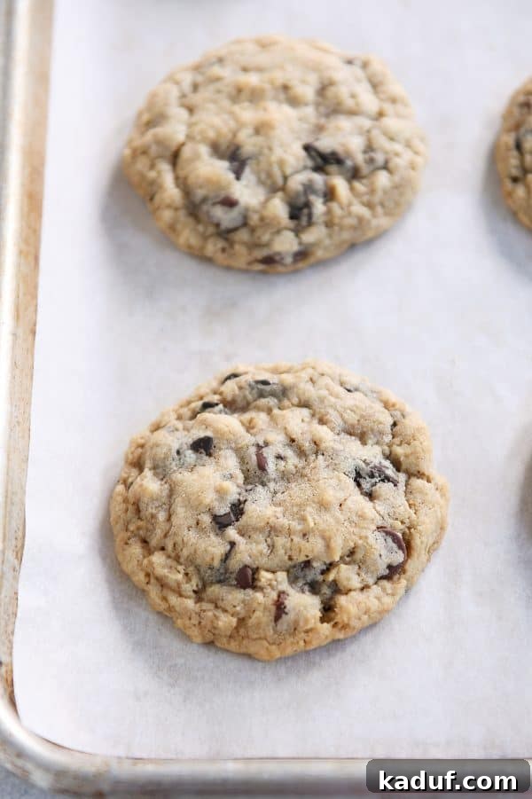 Chewy Oatmeal Chocolate Chip Cookies 2 A perfectly baked, soft and chewy oatmeal chocolate chip cookie on a cooling rack.