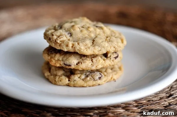 Chewy Oatmeal Chocolate Chip Cookies 8 Classic Oatmeal Chocolate Chip Cookies arranged on a plate.