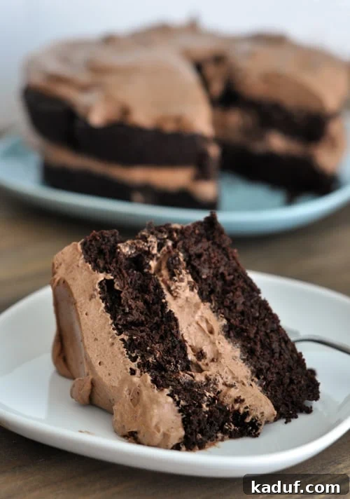 Decadent Gluten-Free Chocolate Cake with Fluffy Chocolate Frosting 2 A piece of chocolate cake with two layers of cake and chocolate frosting in the middle and top, on a white plate.