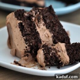Decadent Chocolate Cake with Whipped Chocolate Frosting