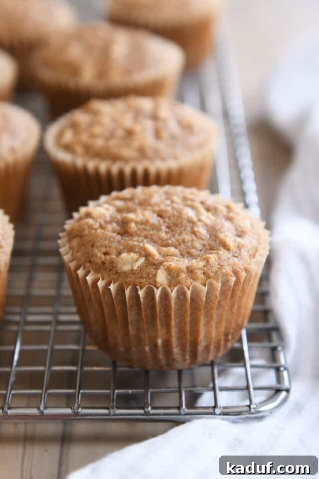 Wholesome Apple Oat Muffins 2 A perfectly baked applesauce oat muffin, still in its paper wrapper, sitting on a wire cooling rack. The muffin is golden brown and visibly soft, suggesting its delicious texture.