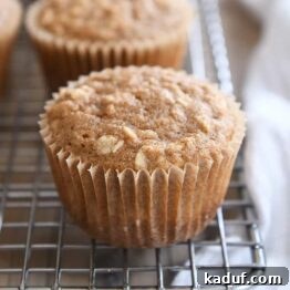 Wholesome Apple Oat Muffins 6 A freshly baked applesauce oat muffin on a wire rack, showcasing its golden-brown top and wholesome ingredients.