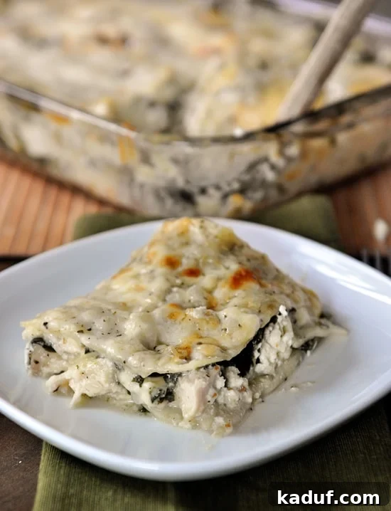 Creamy Chicken and Spinach Lasagna 3 A close-up shot of a baked White Chicken and Spinach Lasagna in a casserole dish, with a serving removed, highlighting the golden-brown top and bubbling, cheesy layers.