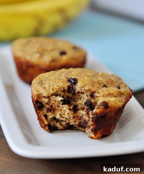 Two whole grain banana chocolate chip muffins on a white plate, the front muffin has a bite taken out, revealing a moist interior and chocolate chips.
