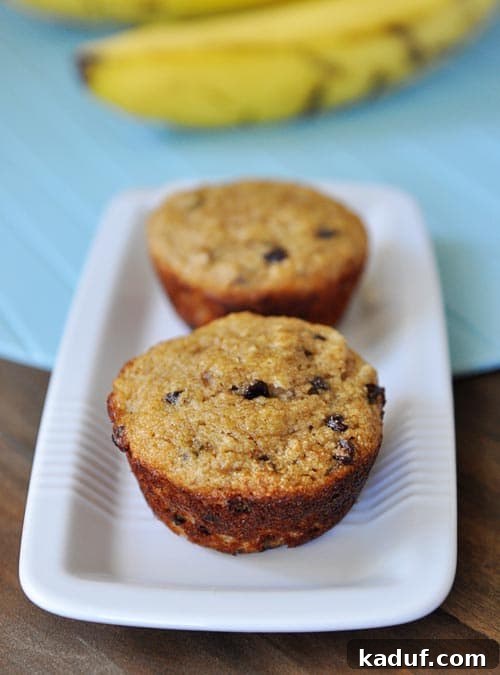 A white rectangular dish showcasing two freshly baked whole grain banana chocolate chip muffins, perfectly golden brown.