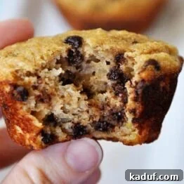 Whole Grain Banana Chocolate Chip Muffin