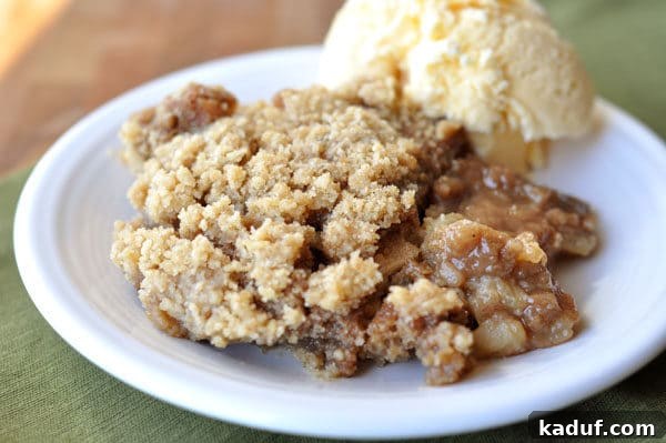 Harvest Apple Cider Pudding Cake 2 A slice of warm Apple Cider Pudding Cake topped with a scoop of melting vanilla ice cream on a white plate, showcasing the rich, moist texture and golden-brown streusel.