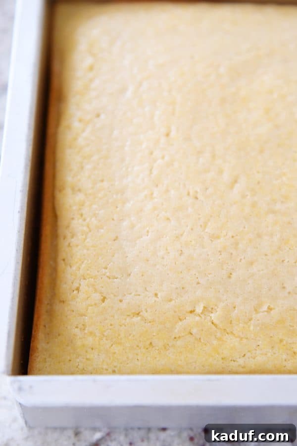 The Ultimate Cornbread with Cloudlike Honey Butter 6 A golden-brown pan of freshly baked cornbread, ready to be sliced and served, promising fluffy and moist perfection.