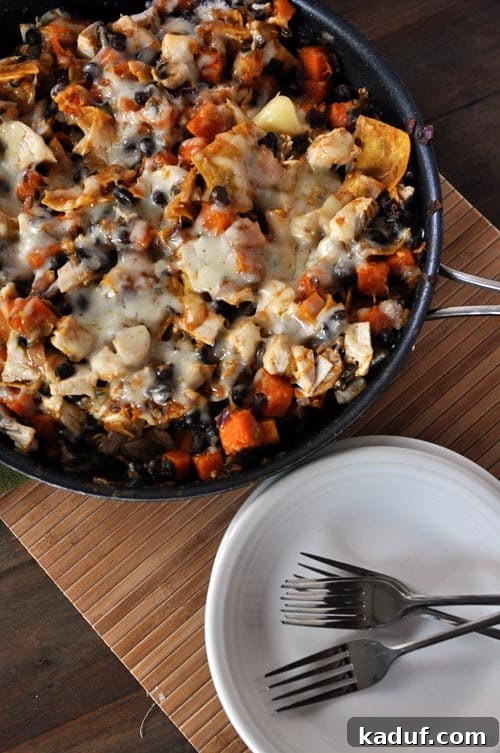 Butternut Squash and Black Bean Skillet Enchiladas 2 Top view of a cast iron skillet full of cheesy black bean enchilada casserole, showcasing melted cheese and vibrant colors.