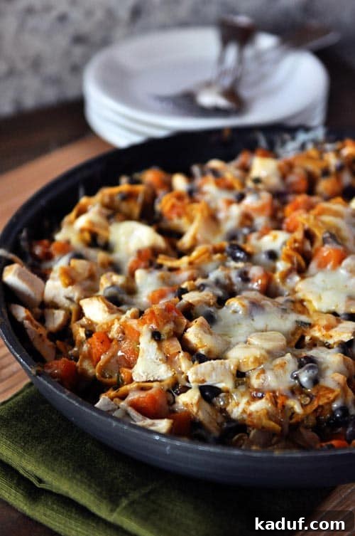 Butternut Squash and Black Bean Skillet Enchiladas 4 A large cast iron skillet filled with a bubbling, cheesy black bean and butternut enchilada dinner, topped with fresh cilantro.