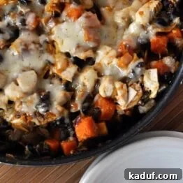 Black Bean and Butternut Enchilada Skillet