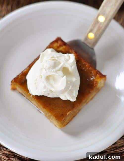 Sheet Pan Pumpkin Pie Heaven 2 A square slice of Pumpkin Pie Sheet Cake, beautifully topped with a dollop of fluffy whipped cream, resting on a silver metal spatula, ready to be served.