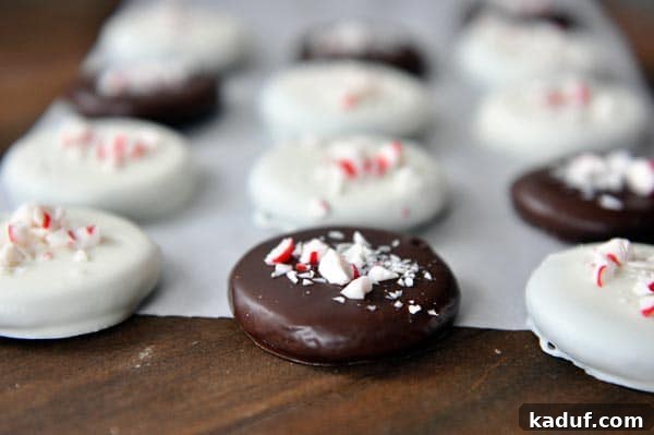 Mint Chocolate Crisp Perfection 3 Chocolate and white chocolate dipped cookies with crushed candy canes on top.