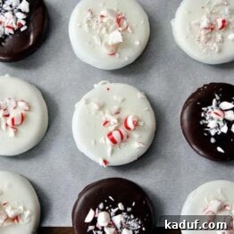 Mint Chocolate Crisp Perfection 5 Homemade Thin Mint Cookies