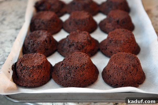Guilt-Free Molten Chocolate Fudge Cakes 4 A dozen mini chocolate fudge cakes, freshly baked and ready to serve, are neatly arranged on a cooling rack, showcasing their fluffy texture and readiness for garnishing.