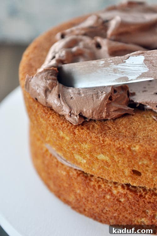 Decadent Chocolate Cloud Frosting 2 A double decker cake getting frosted with creamy, luxurious chocolate frosting, promising a decadent dessert.