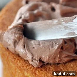 Close-up of fluffy whipped chocolate buttercream frosting in a bowl, ready to be spread.